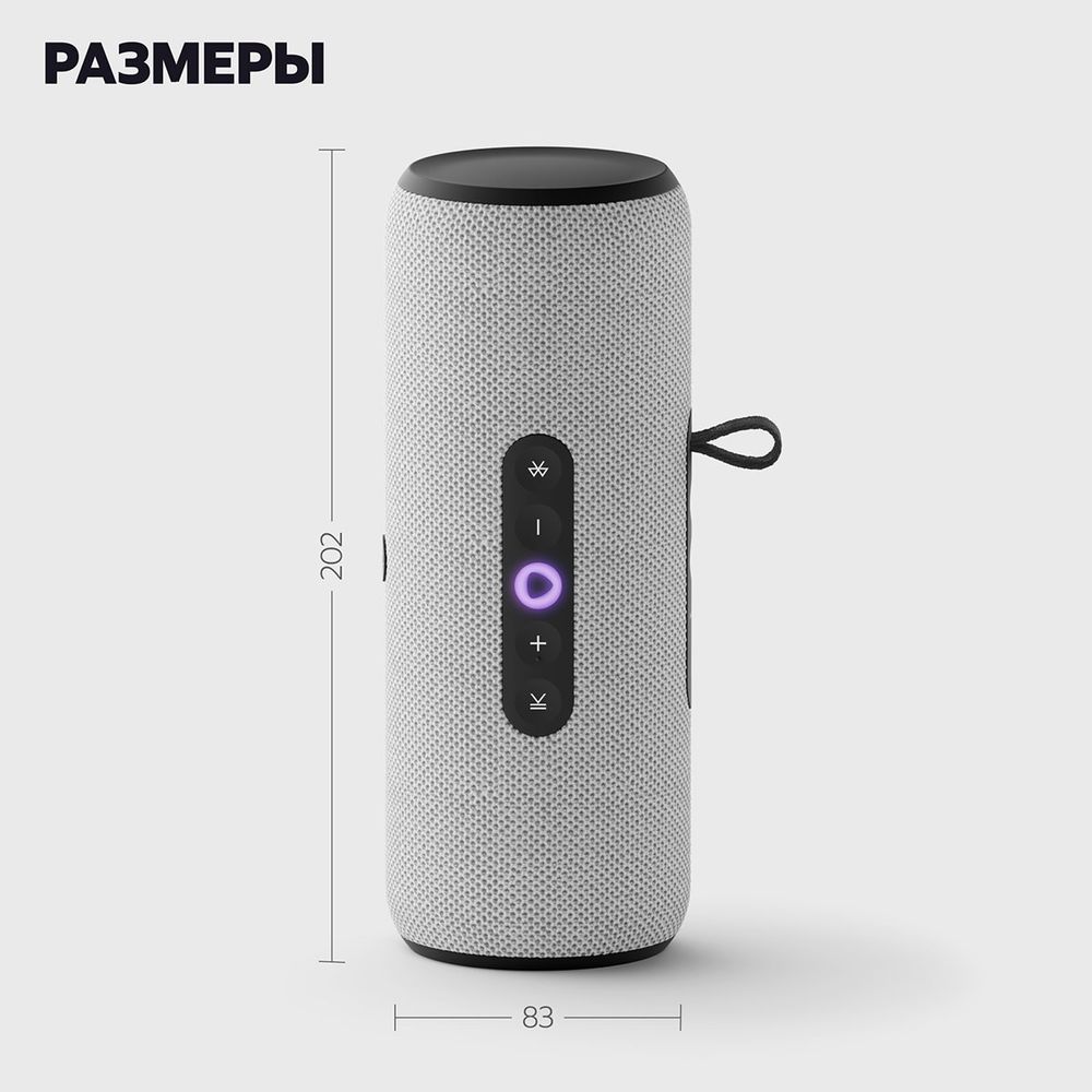Портативная умная колонка Яндекс Станция Стрит с Алисой, 30 Вт,YNDX-00030GRY , серый