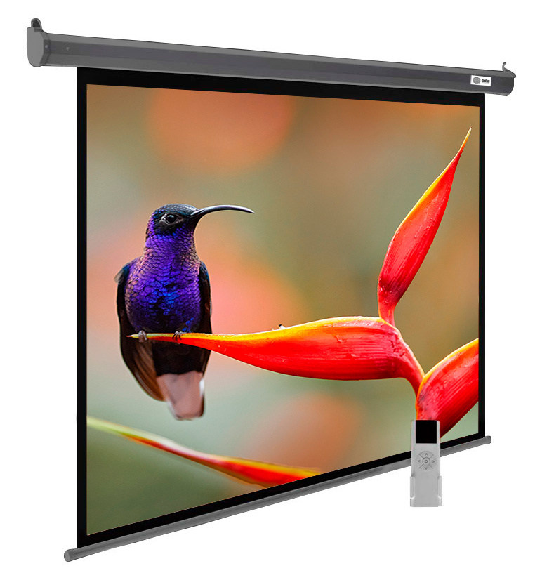 <108377> Экран для проектора Cactus 138x220см SIlverMotoExpert CS-PSSME-220X138-DG 16:10 настенно-потолочный моториз тёмно-серый [CS-PSSME-220X138-DG]
