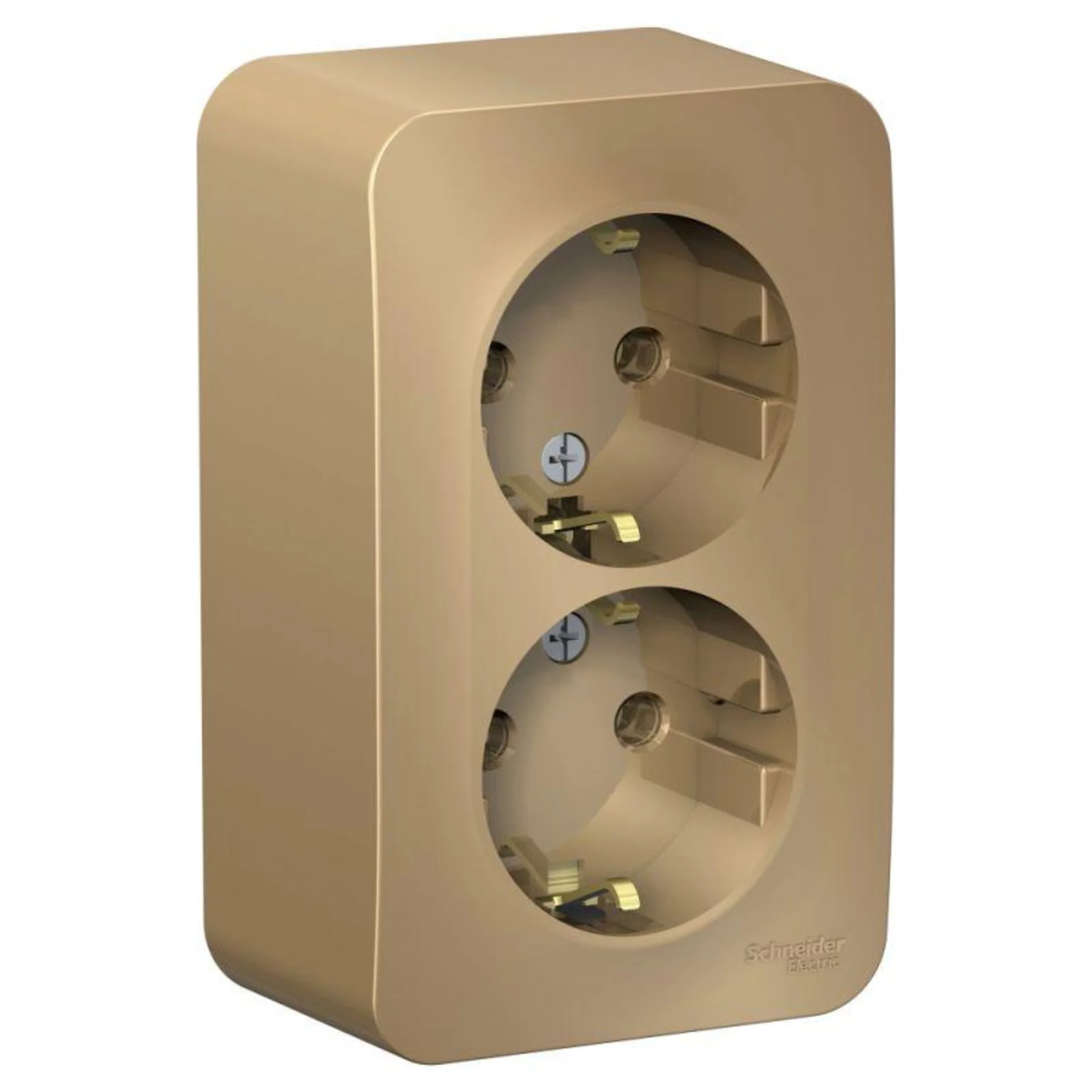 Розетка Systeme Electric BLNRA010214, двойная с заземлением, 16А, титан