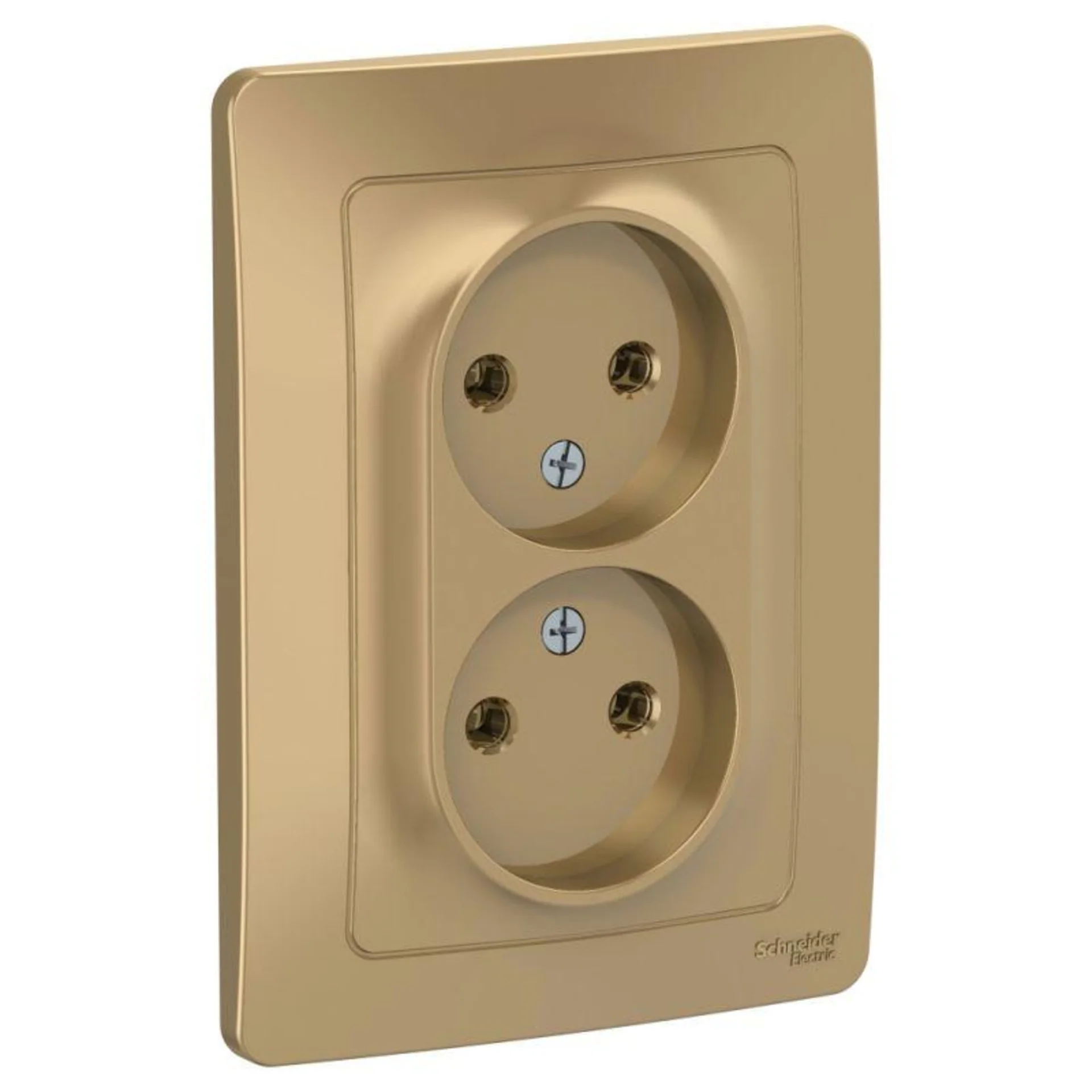 Розетка Systeme Electric BLNRS000024, 2-м, 16А, IP20, без заземления, титан