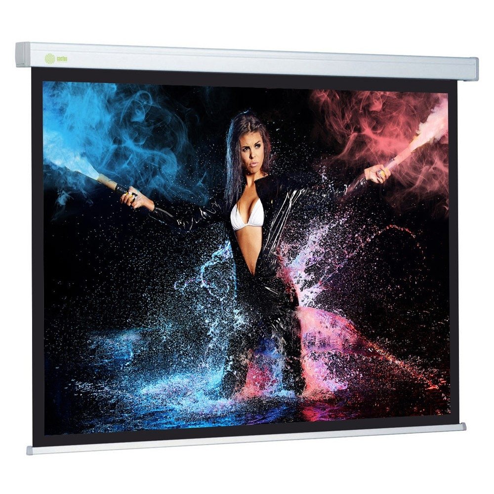 Экран Cactus Wallscreen CS-PSW-180x180 180 x 180см 1:1 настенно-потолочный рулонный белый