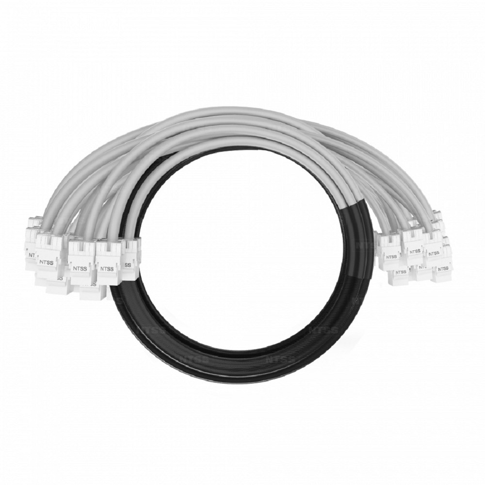 NTSS Кабельная сборка NTSS PREMIUM 24pc, UTP CAT6, оконцована разъемами KEYSTONE RJ45 UTP CAT6, заделка в чулке, вывод 0.6м, длина 3м, LSZH, серый NTSS-PC-PM-24-UTP-RJ45KJ-6-S-0.6-3.0-LSZH-GY