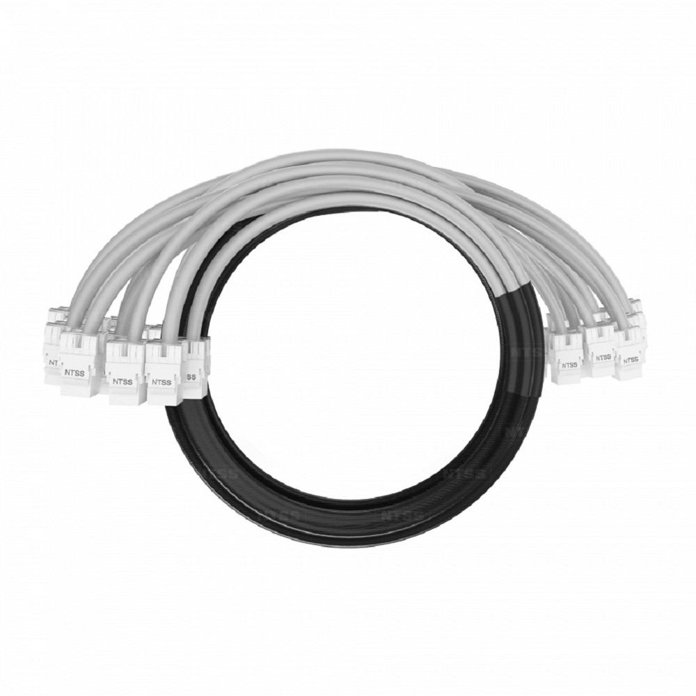 NTSS Кабельная сборка NTSS PREMIUM 12pc, UTP CAT6, оконцована разъемами KEYSTONE RJ45 UTP CAT6, заделка в чулке, вывод 0.6м, длина 4м, LSZH, серый NTSS-PC-PM-12-UTP-RJ45KJ-6-S-0.6-4.0-LSZH-GY