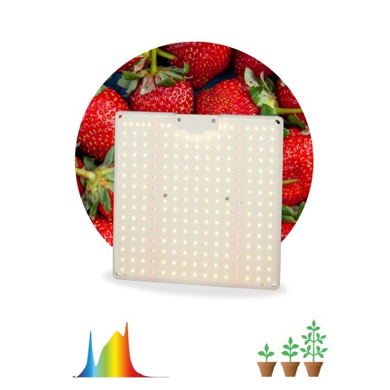 ЭРА Б0047876 Б0053285 Квантум борд FITO-80W-LED-QB Quantum board фитопрожектор полного спектра 80 Вт 3500К