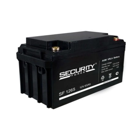 Security Force SF 1265