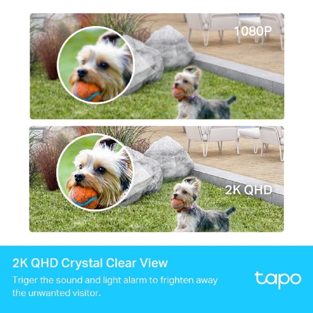 TP-Link Tapo C420S1 Умная система видеонаблюдения с 1 камерой с аккумулятором и поддержкой ИИ