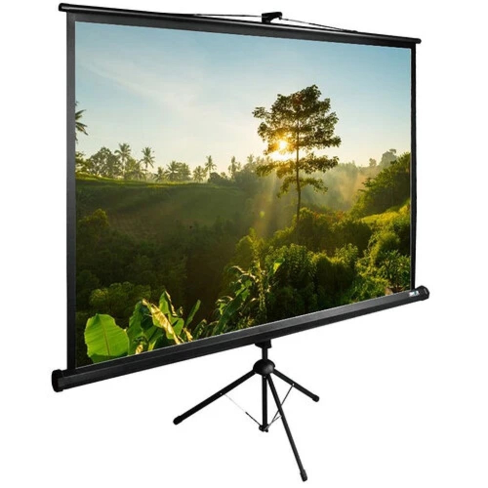Экран Cactus TriExpert CS-PSTE-200x200-BK 200x200 см 1:1 напольный рулонный