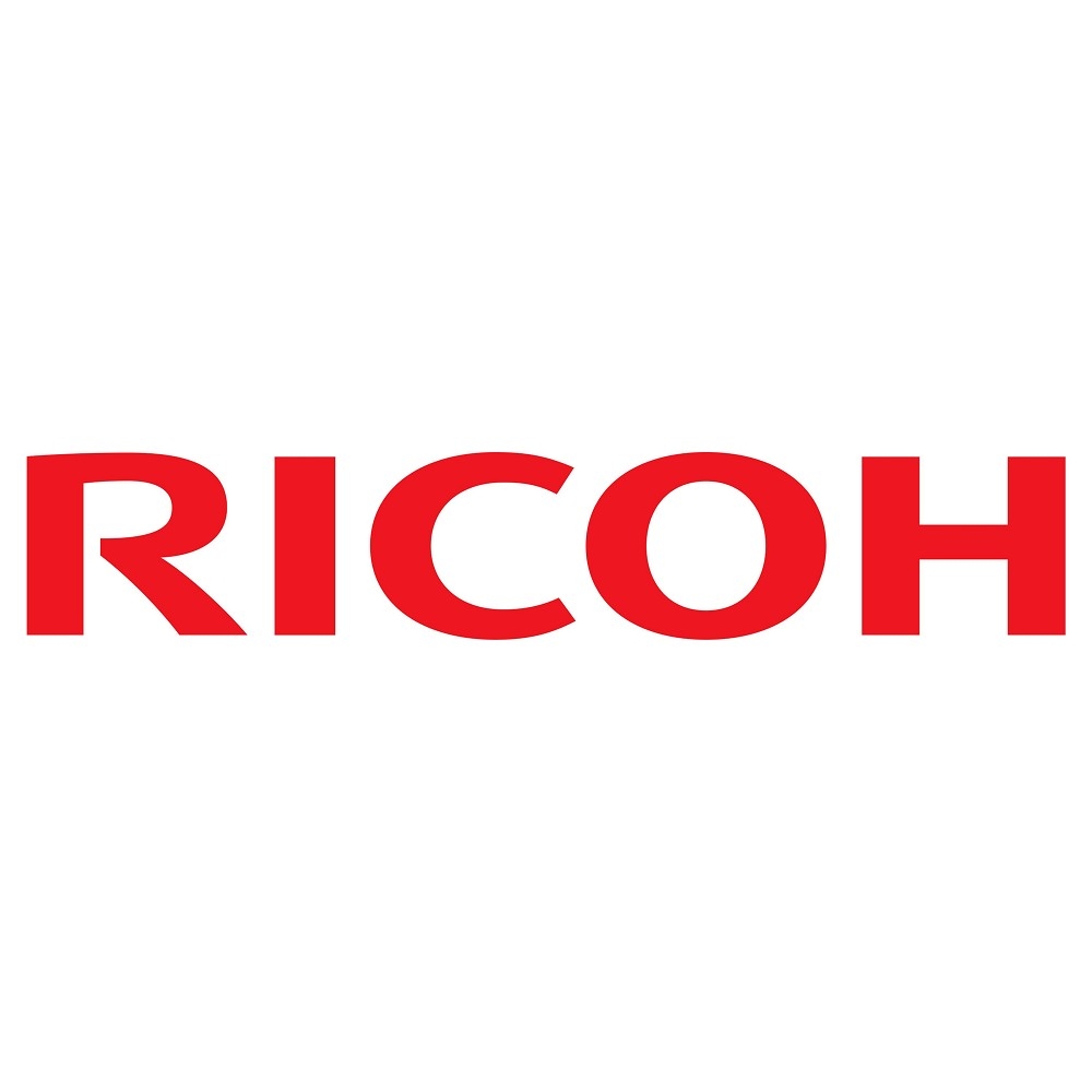 Фильтр блока проявки RICOH AA012081/AA01-2081