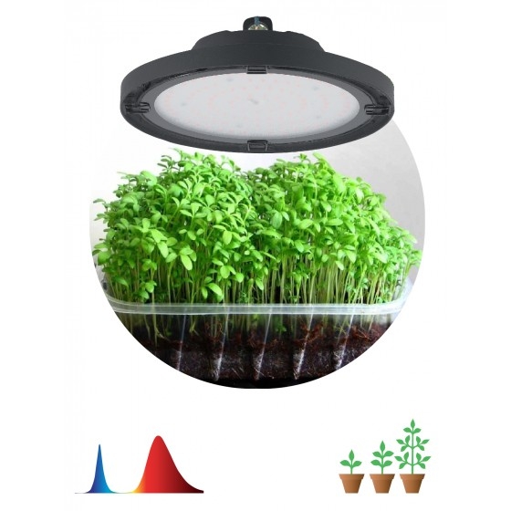 ЭРА Б0053280 Фитопрожектор для растений светодиодный  FITO-50W-RB-LED-UFO красно-синего спектра 50 Вт IP65