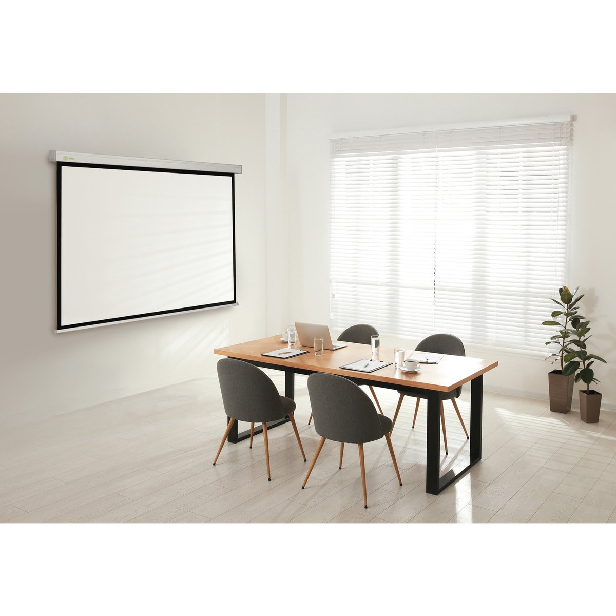 Экран Cactus Wallscreen CS-PSW-180x180 180 x 180см 1:1 настенно-потолочный рулонный белый