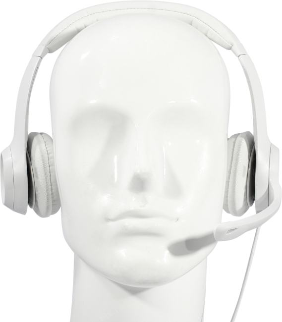 Logitech USB Headset H390  (USB, наушники с микрофоном,  с рег.громкости) <981-001288>