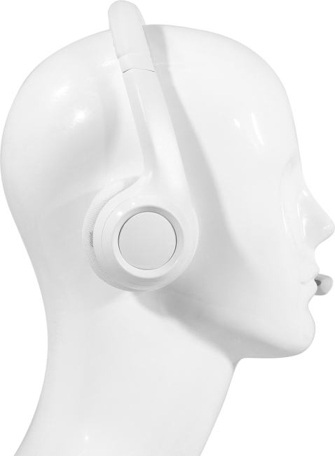 Logitech USB Headset H390  (USB, наушники с микрофоном,  с рег.громкости) <981-001288>