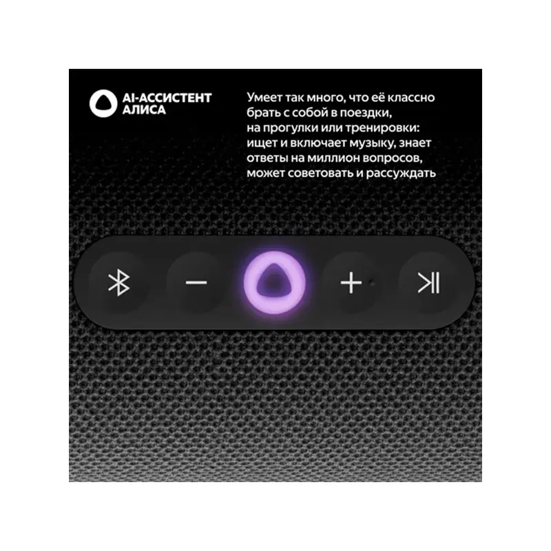 Яндекс Станция Стрит с Алисой, модель YNDX-00030BLK/ Умная портативная колонка Яндекс Станция Стрит с Алисой, модель YNDX-00030BLK (черный)