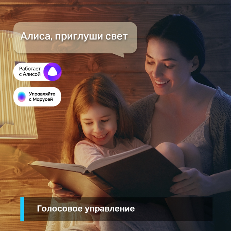 Умная Wi-Fi лампа/ WiFi Bulb, A60 size, E27, 8.7W, 2700K warm white, 800 lumens