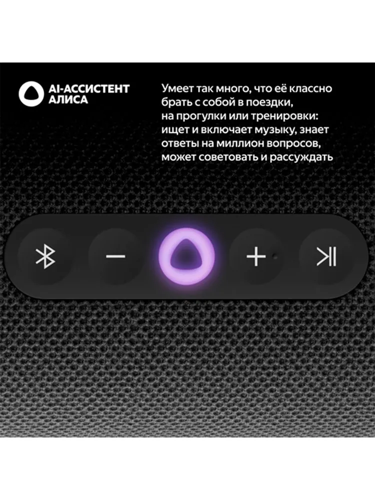 Яндекс Станция Стрит с Алисой, модель YNDX-00030BLK/ Умная портативная колонка Яндекс Станция Стрит с Алисой, модель YNDX-00030BLK (черный)