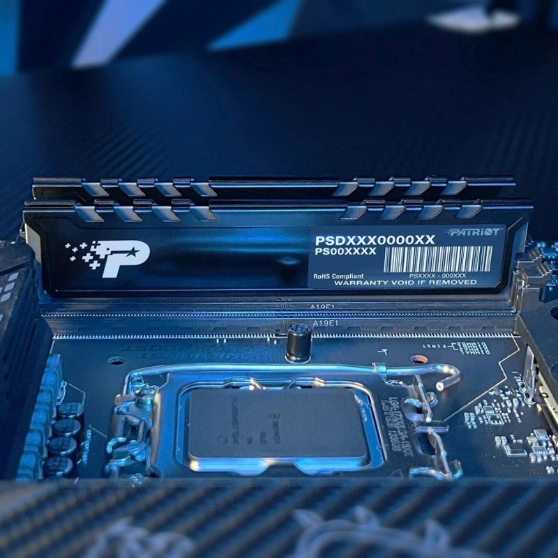 Оперативная память DDR5 16GB 5600MHz Patriot PSP516G560081H1 Signature Premium RTL PC5-44800 CL46 DIMM 288-pin 1.1В single rank с радиатором Ret [PSP516G560081H1]