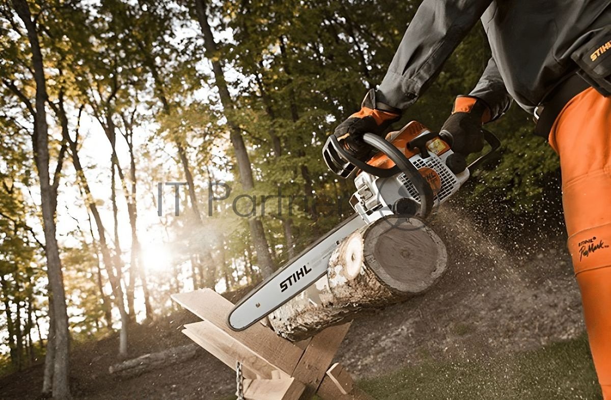 Бензопила STIHL MS 1701.3кВт/1.8лс 30.1см3 шина 14'' цепь 3/8''-1.1мм-50 3.9кг (баз.модель)