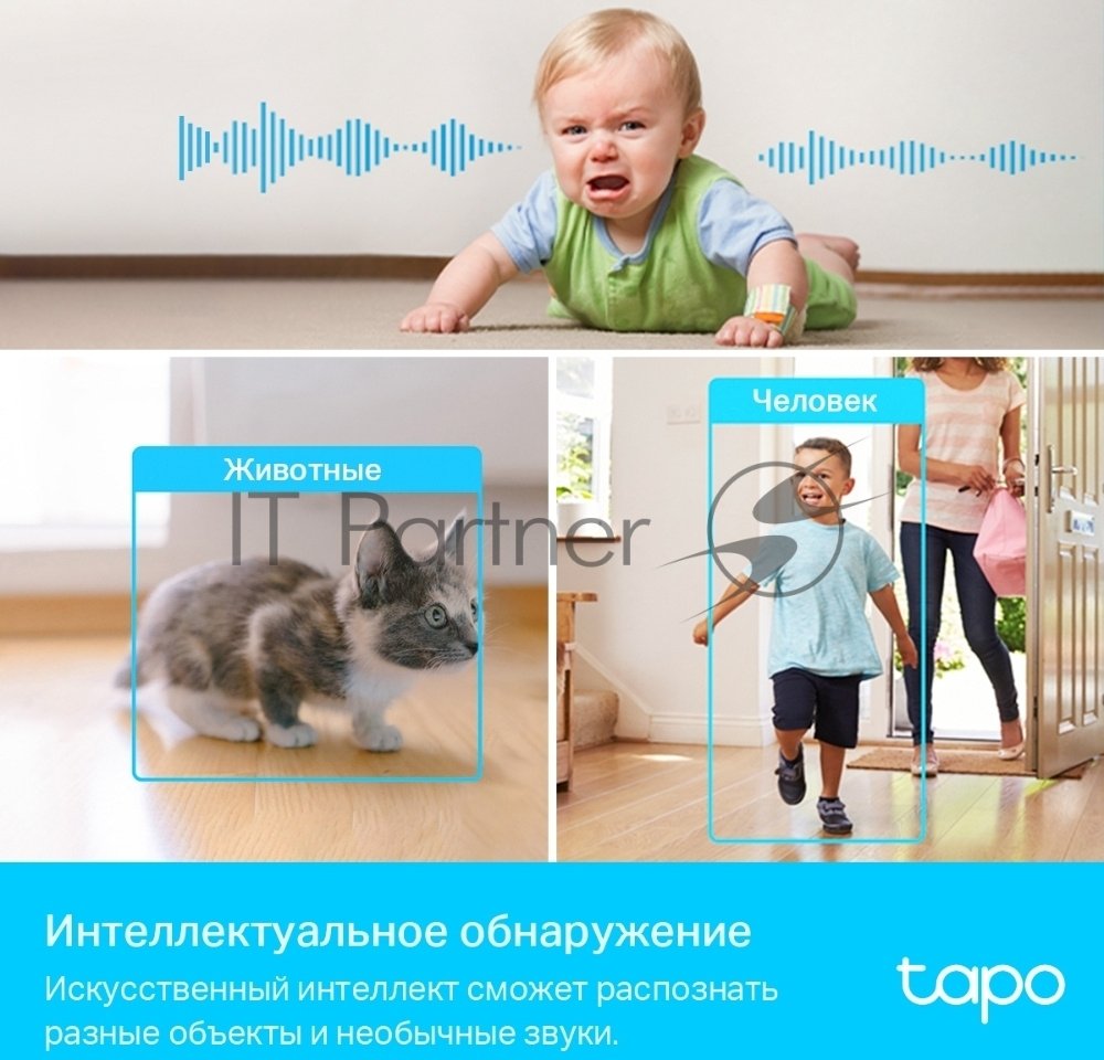 Камера видеонаблюдения умная домашняя поворотная TP-Link Tapo C225