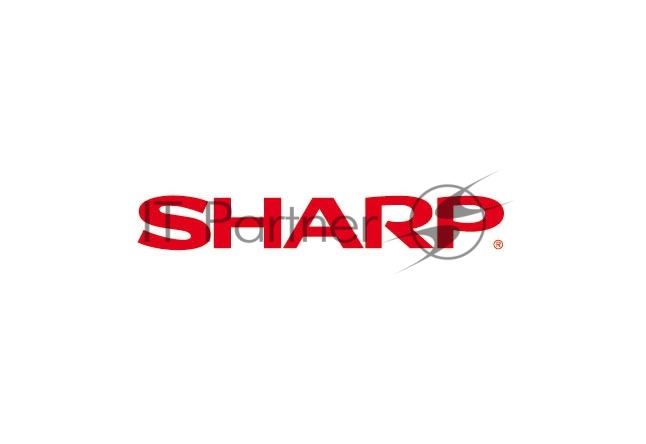 Шестерня магнитного вала Sharp NGERH0145QSZ1 AR-162/163/201/206/207/5012/5415/5015 (O)