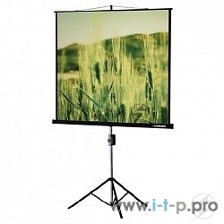 Экраны LUMIEN Lumien Экран на треноге 180x180 см Eco View LEV-100102 1:1 с возможностью настенного крепления