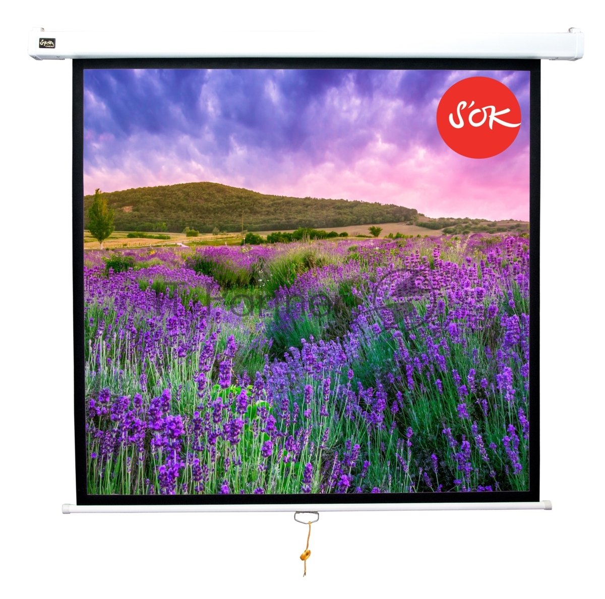 Экран 180x180см Wallscreen 1:1 настенно-потолочный рулонный белый100'