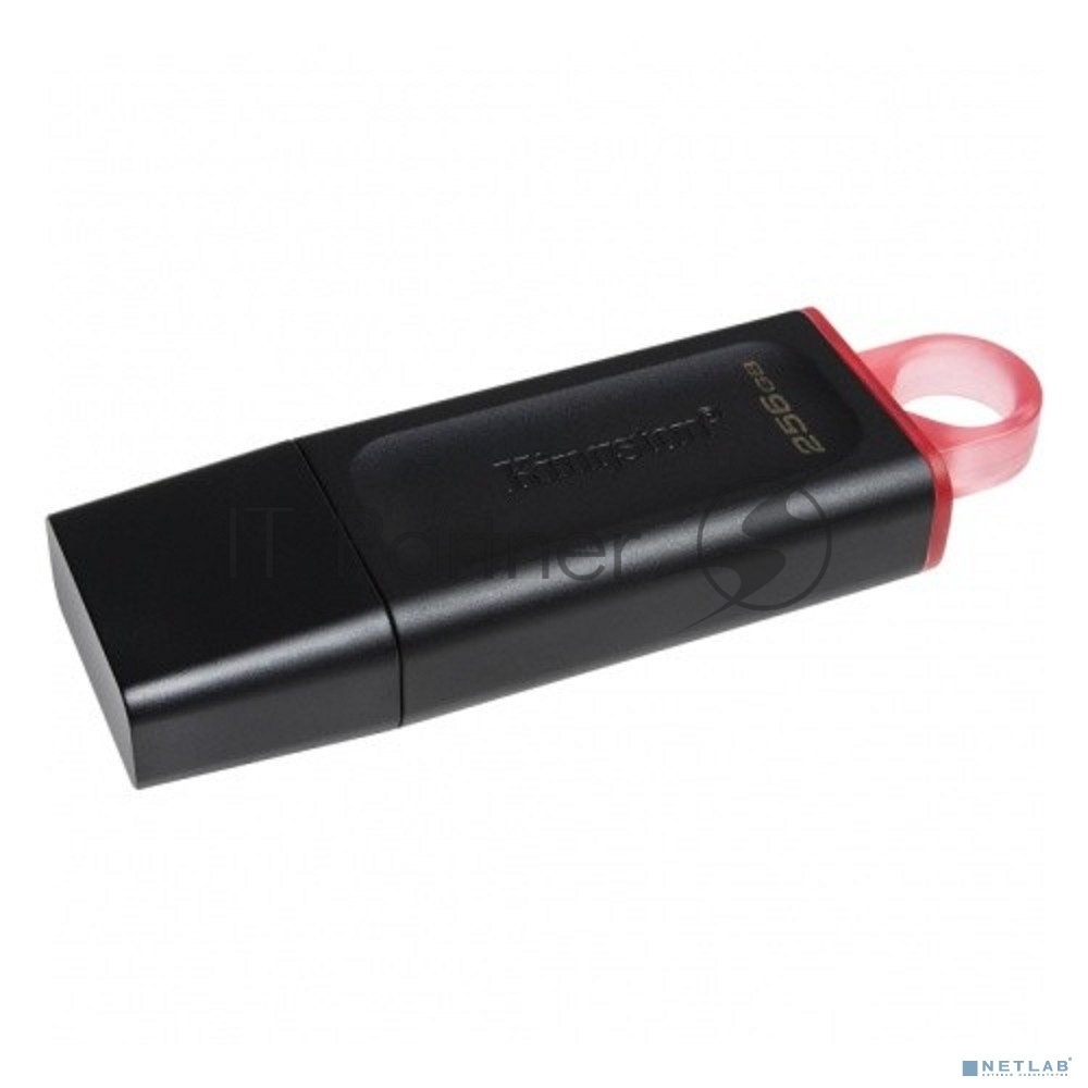 Флешка USB Kingston DataTraveler Exodia (DTX/256GB), 256Gb, USB 3.2 Gen 1, R/W 200/60, черный/розовый