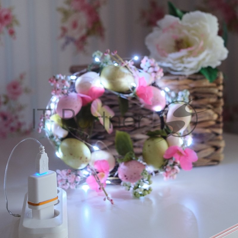 Гирлянда Neon-night "Роса" 5 м, 50 LED, USB, белое свечение