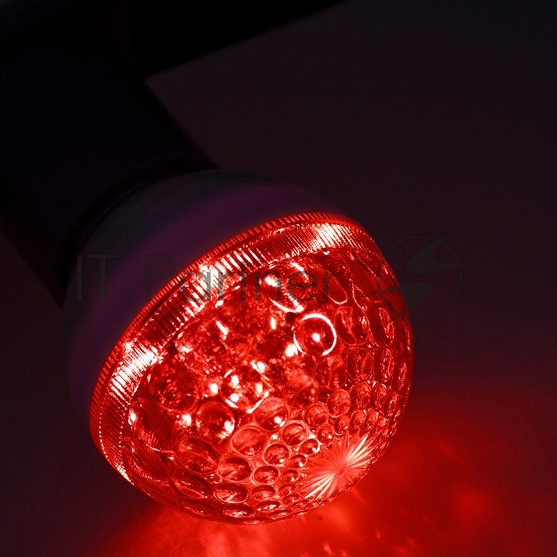 Лампа шар Neon-night e27 10 LED Ø50мм красная 24В (постоянное напряжение)