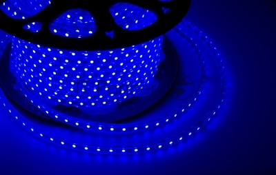 Лента светодиодная Neon-night 220 В, 10х7 мм, IP67, SMD 2835, 60 LED/m, цвет свечения синий, бухта 100 м