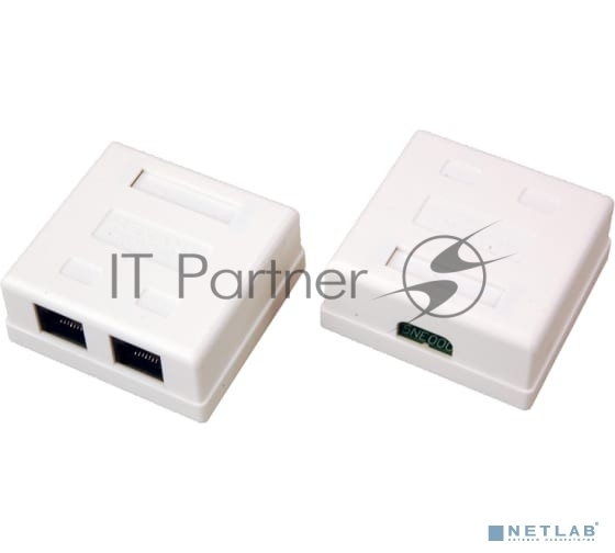 Rexant (06-0105-C) Розетка сетевая LAN, на стену, 2 гнездо 8Р8С (RJ-45), CAT 5е