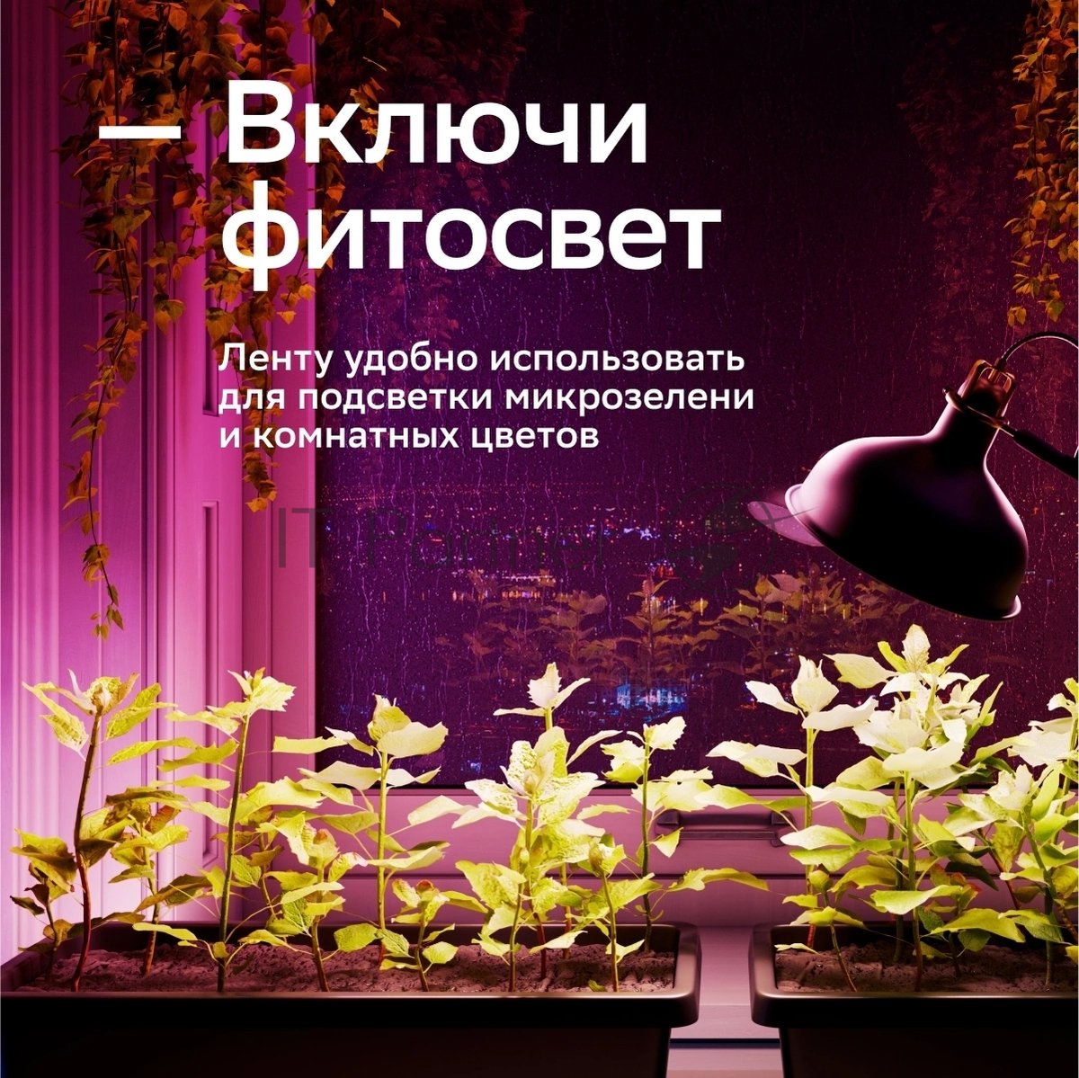 Лента светодиодная для управления светом/электроприборами Sber SBDV-00033