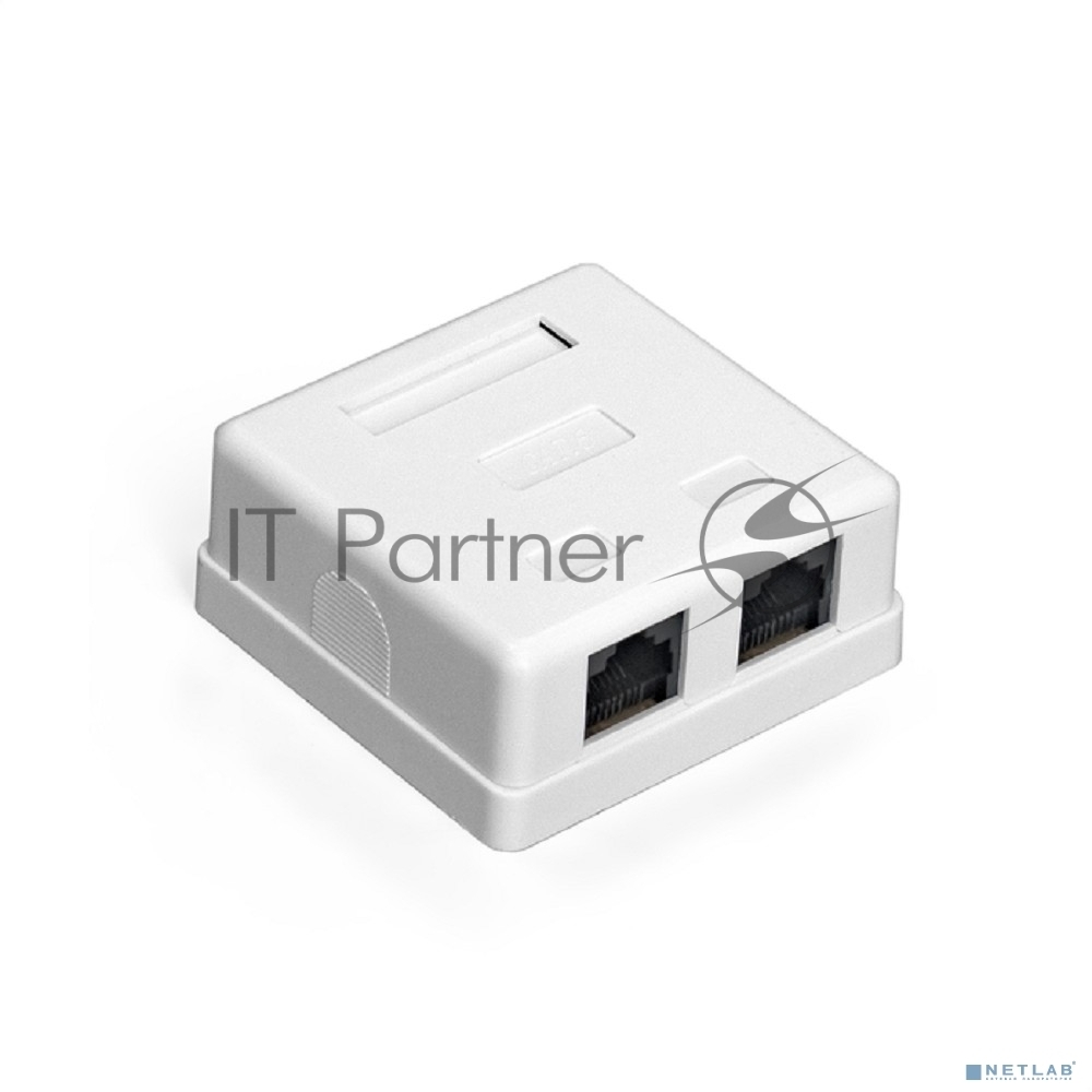 Exegate EX292845RUS Розетка внешняя двойная ExeGate SM2-RJ45-C6 RJ-45 кат.6 UTP Krone/110