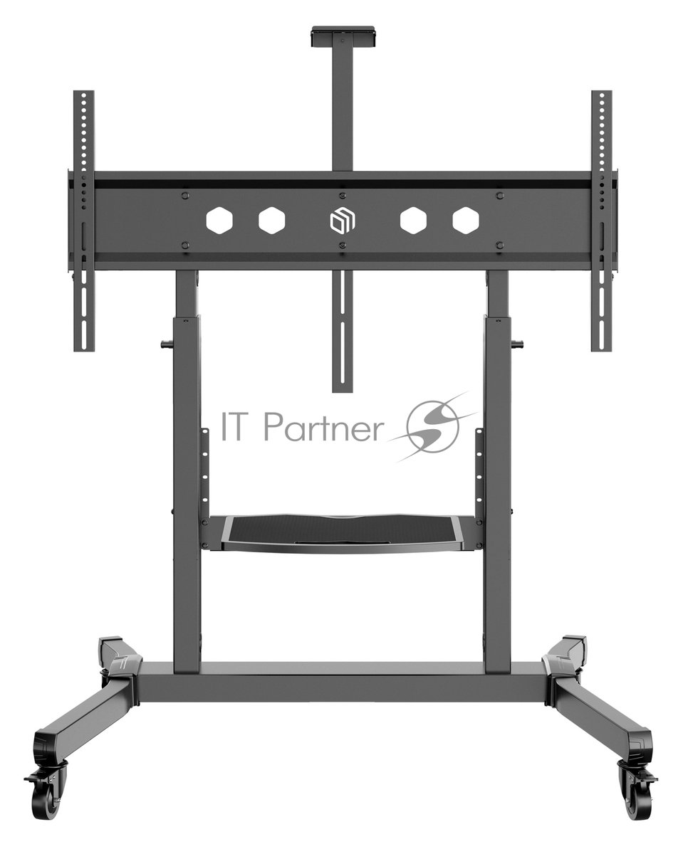Стойка для телевизора ONKRON TS1991 черный 50"-100" макс.10кг напольный наклон