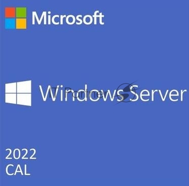 Операционная система лицензия OEI WIN SVR 2022 CAL ENG 1PK 1CLT DEV R18-06412 MS