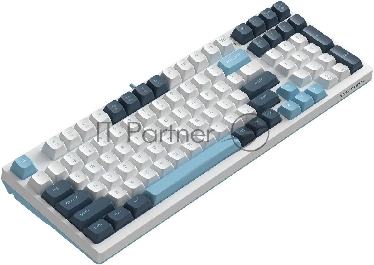 Клавиатура проводная A4Tech Fstyler FS300 (FS300 PANDA SNOWBOARDING), USB, белый/синий