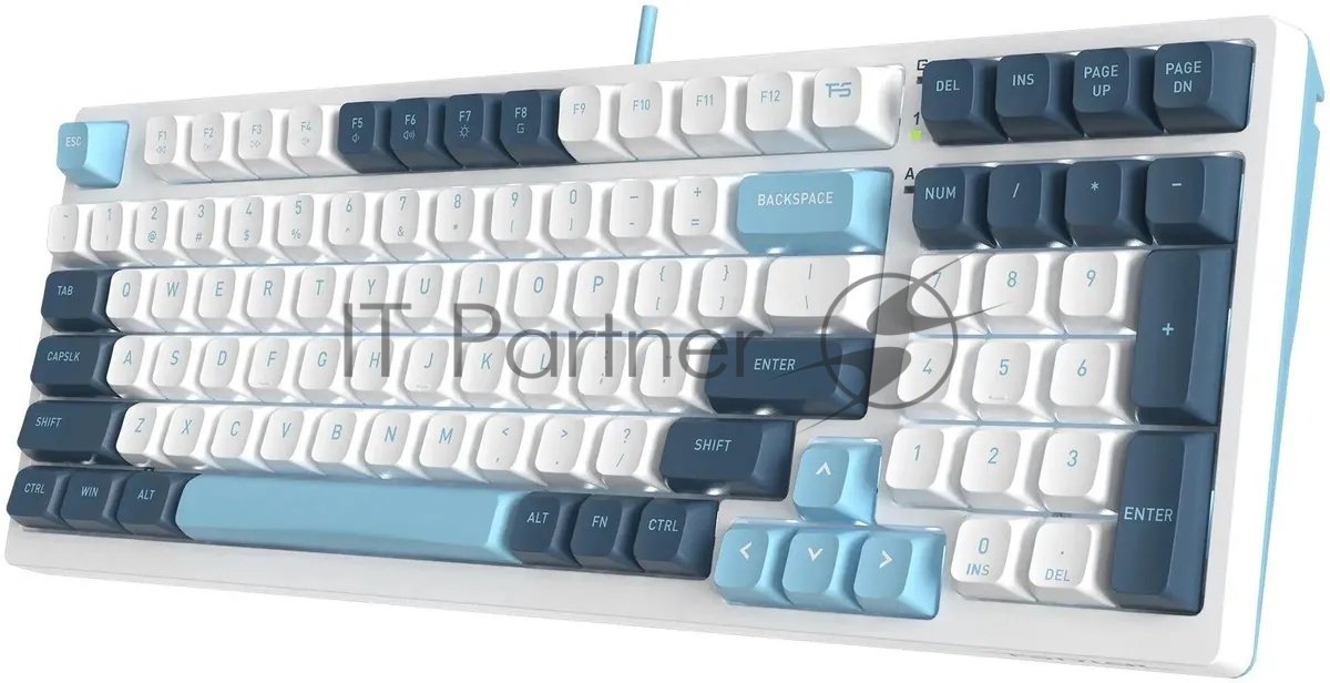 Клавиатура проводная A4Tech Fstyler FS300 (FS300 PANDA SNOWBOARDING), USB, белый/синий