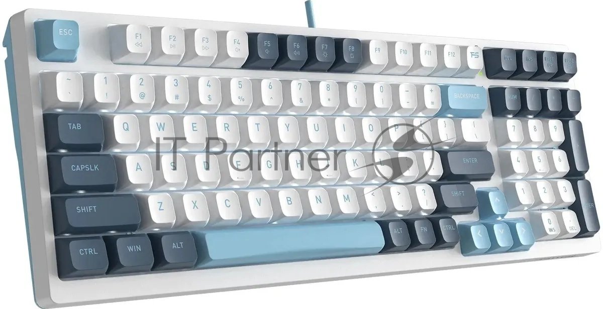 Клавиатура проводная A4Tech Fstyler FS300 (FS300 PANDA SNOWBOARDING), USB, белый/синий