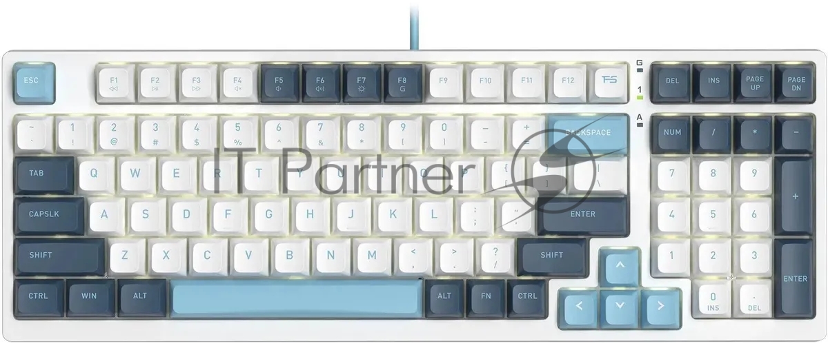 Клавиатура проводная A4Tech Fstyler FS300 (FS300 PANDA SNOWBOARDING), USB, белый/синий