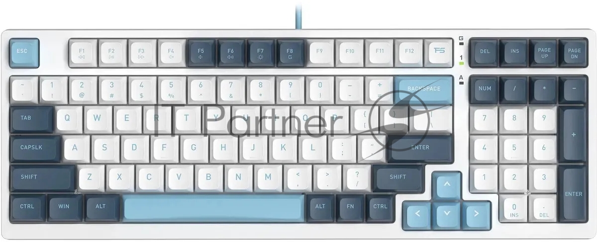 Клавиатура проводная A4Tech Fstyler FS300 (FS300 PANDA SNOWBOARDING), USB, белый/синий