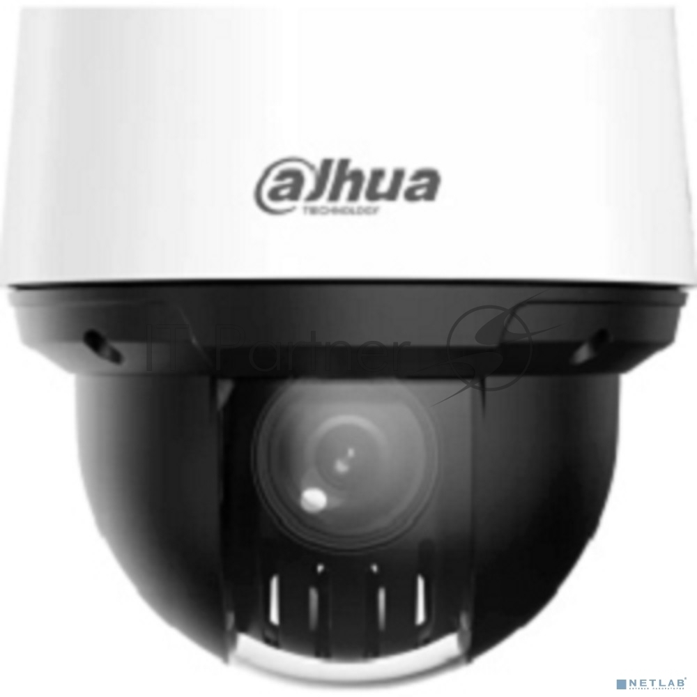 Камера видеонаблюдения Dahua DH-SD4A216DB-HNY, IP, 2 Мп, 5-80 мм, белый/черный