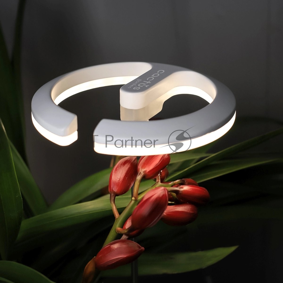 Светильник фито Cactus GARDEN светод. 7.5Вт цв.св.:белый (CS-LED-ORCHID)