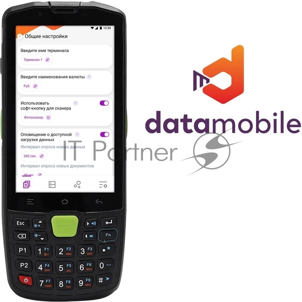 Программное обеспечение Неискл. право на исп-ие DataMobile версия Стандарт подп.1г. (DM12M)