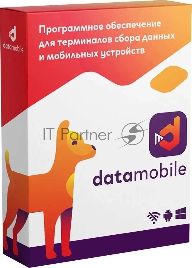 Программное обеспечение Неискл. право на исп-ие DataMobile версия Стандарт подп.1г. (DM12M)