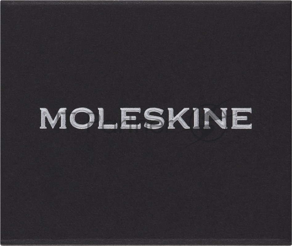 Шильд-символ Moleskine Zodiac Дева, металл, серебристый, коробка с европодвесом, PINVIRGOSILV