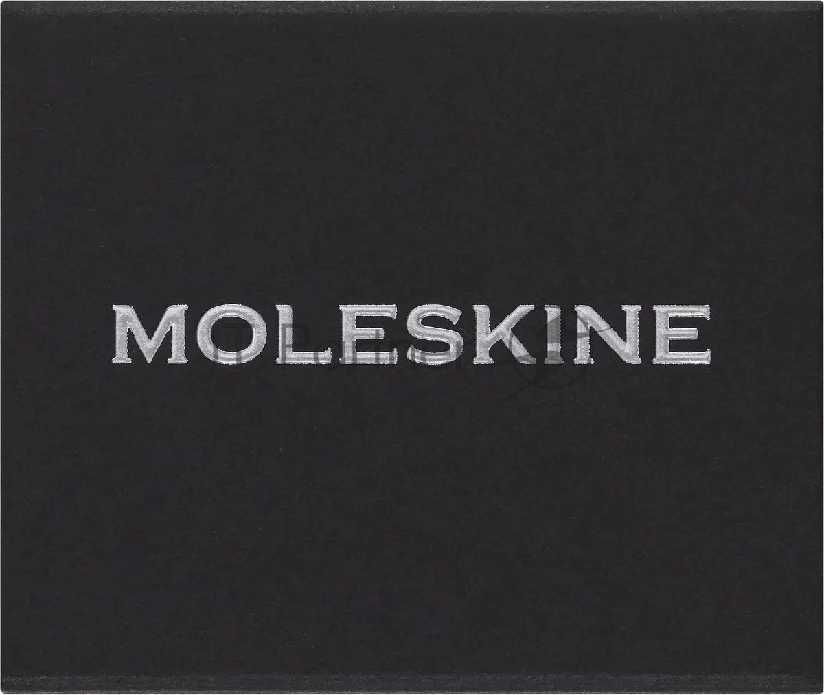 Шильд-символ Moleskine Zodiac Стрелец, металл, серебристый, коробка с европодвесом, PINSAGITTARIUSSILV
