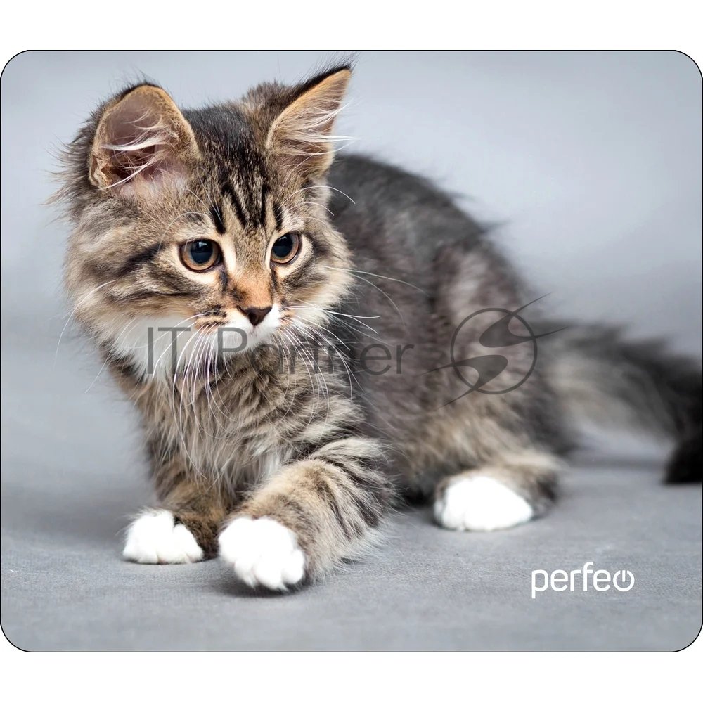 Коврик для мыши PERFEO PF_D0661 "Cat"