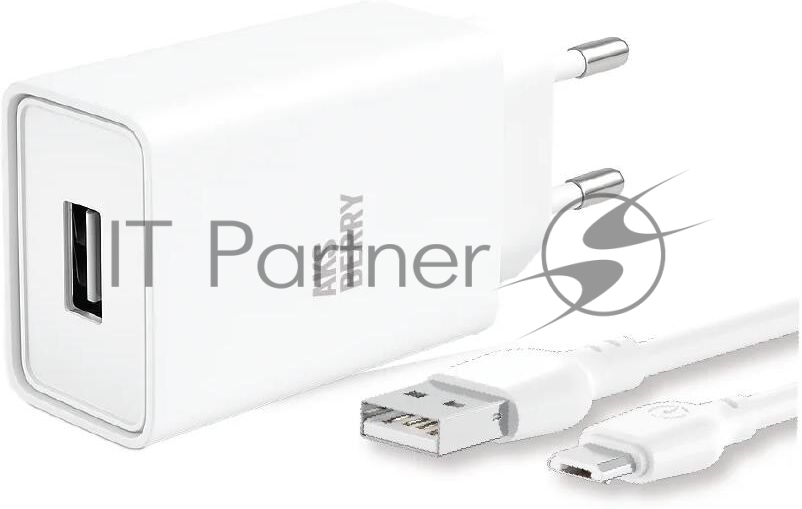 Зарядное устройство Aksberry T40 1USB 24A + MicroUSB (белый)