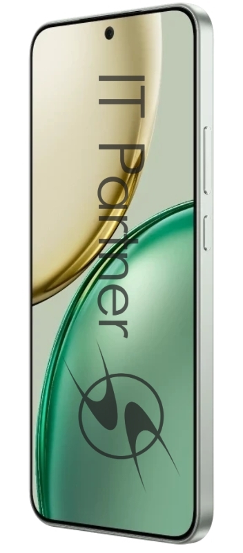 Смартфон HONOR X9d 12/256GB, зеленый