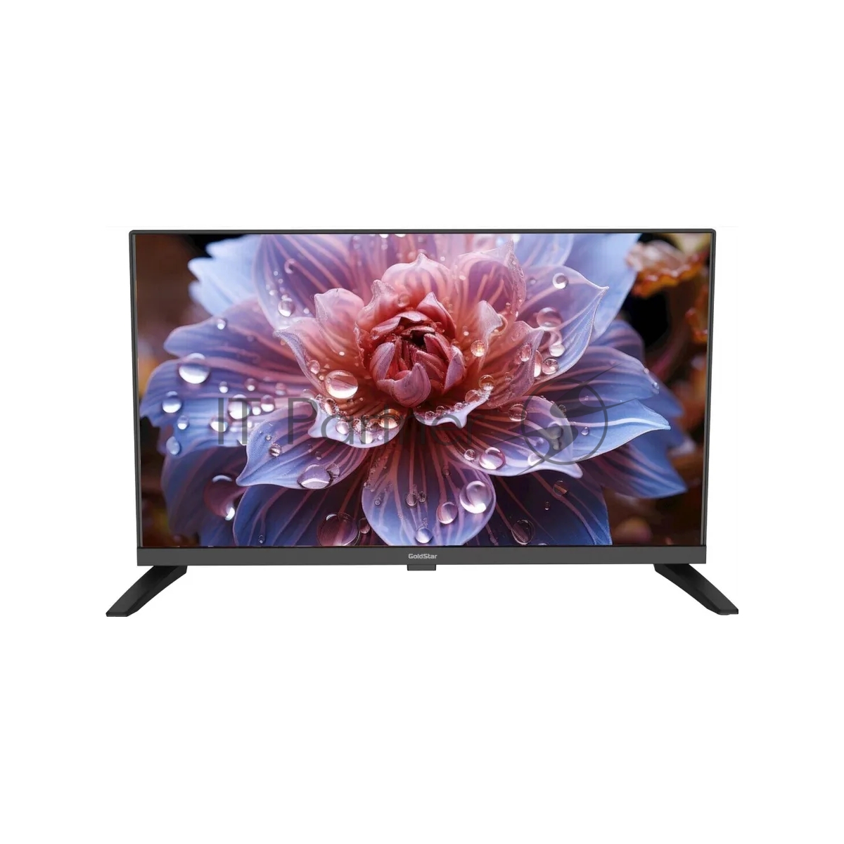 Телевизор GOLDSTAR 24" LT-24R1000 черный DLED HD 60Hz