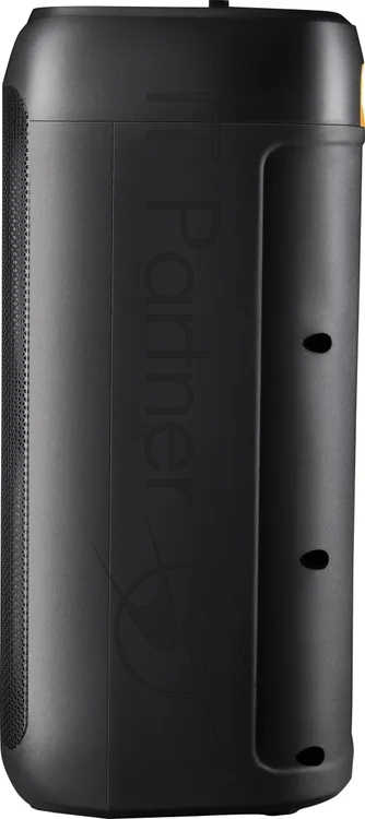 Портативная акустика Defender Boomer 85 Black